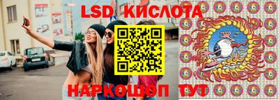 ПСИЛОЦИБИНОВЫЕ ГРИБЫ Новозыбков
