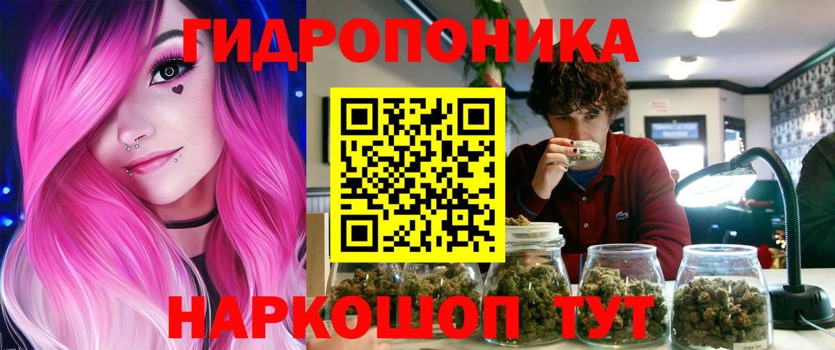 Михайловка  Конопля ГИДРОПОН  Бошки Шишки THC 21%  Бошки Шишки AK-47  Вход с VPN  Конопля сатива 